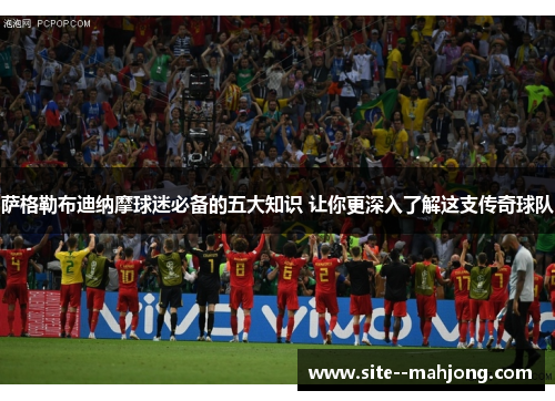 萨格勒布迪纳摩球迷必备的五大知识 让你更深入了解这支传奇球队