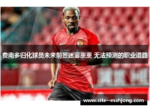 费南多归化球员未来前景迷雾重重 无法预测的职业道路