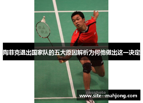 陶菲克退出国家队的五大原因解析为何他做出这一决定