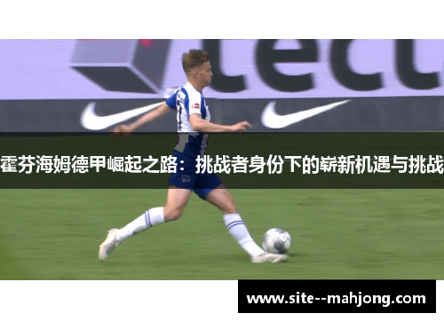 霍芬海姆德甲崛起之路:挑战者身份下的崭新机遇与挑战 霍芬海姆德甲崛起之路:挑战者身份下的崭新机遇与挑战